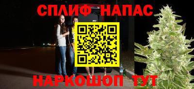 шишки Тара